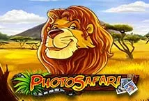 Photo Safari